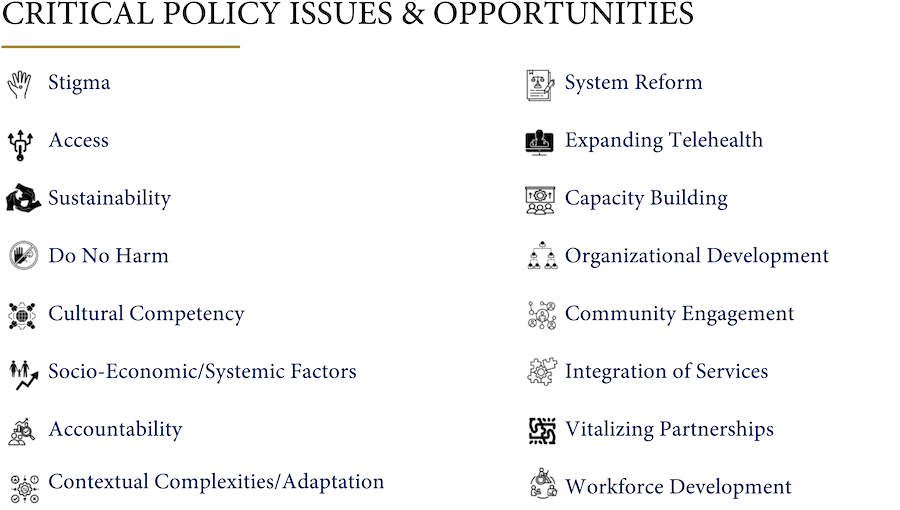 Critical Policy Issues & Opportunities slide